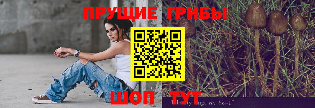 Конопля Кизилюрт